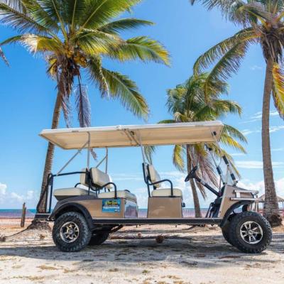a beach with a palm tree