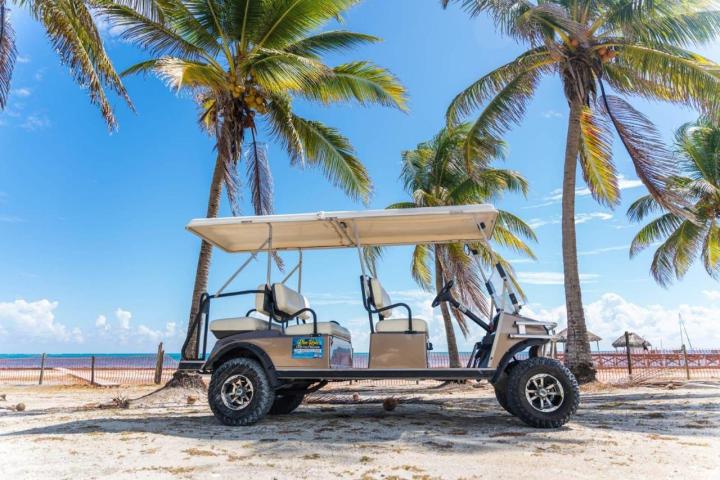 a beach with a palm tree
