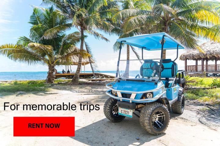 a truck with palm trees