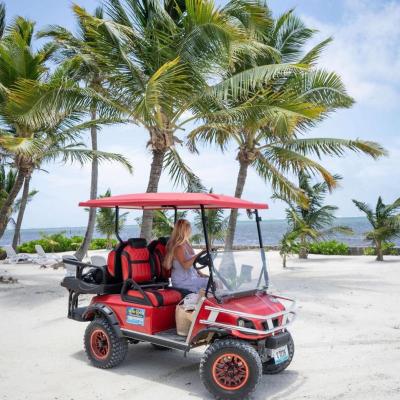 a close up of a horse drawn carriage in front of a palm tree