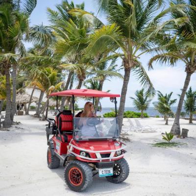 a truck driving down a street next to a palm tree