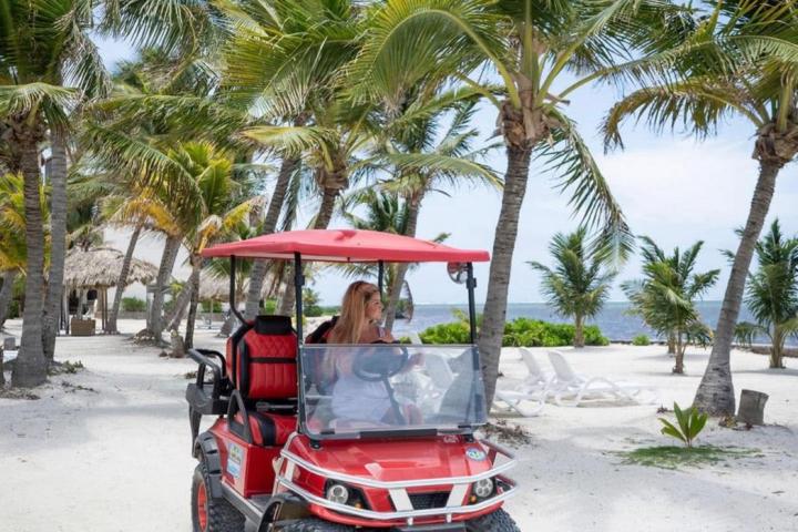 a truck driving down a street next to a palm tree