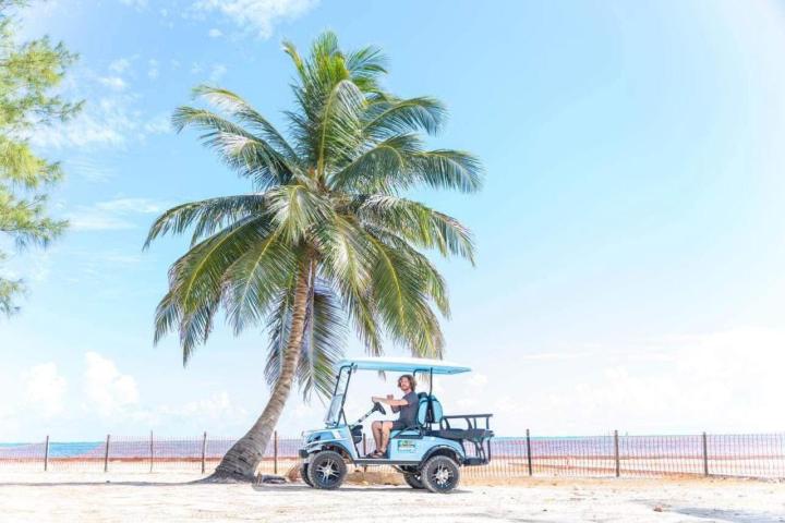 a truck driving down a beach with a palm tree