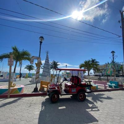 a group of people riding on the back of a truck