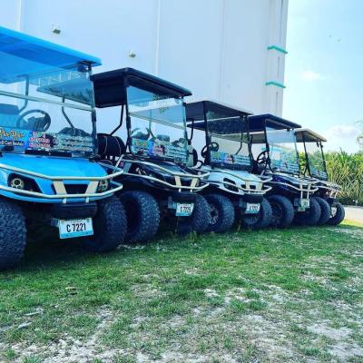 a truck is parked in the grass