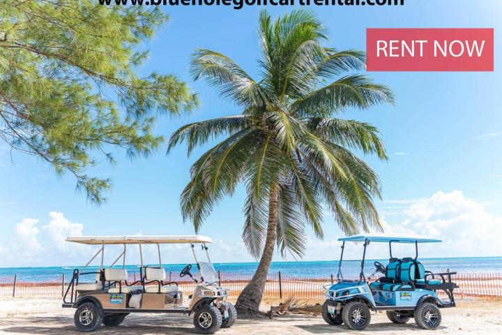 a truck driving down a beach with palm trees