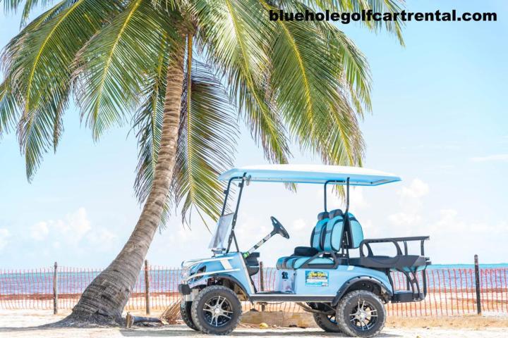 a truck is parked in front of a palm tree