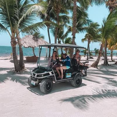 a person sitting on a beach with palm trees