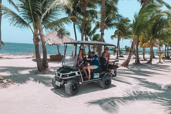 a person sitting on a beach with palm trees